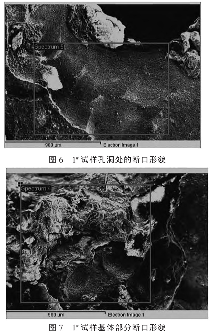 1727335524806742.jpg 6-7.jpg